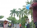 Tn DSC 7912